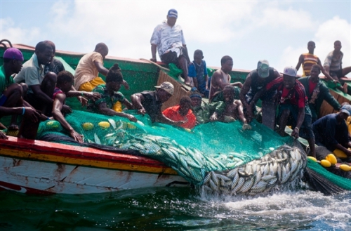 TENSION A LA FRONTIERE NORD: Un pêcheur de Guet Ndar atteint par balle, 25 autres arrêtés par les garde-côtes mauritaniens