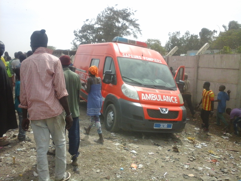 DÉSENCOMBREMENT MUSCLE A LA SERAS DE DALIFORT FOIRAIL: Des éleveurs approuvent mais pestent contre une opération discriminatoire DÉSENCOMBREMENT MUSCLE A LA SERAS DE DALIFORT FOIRAIL: Des éleveurs approuvent mais pestent contre une opération discriminatoire