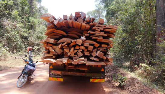 TENSION A LA FRONTIERE ENTRE LE SENEGAL ET LA GAMBIE: le trafic de bois continue à entretenir l’animosité entre Keur Yéro et Jahanka