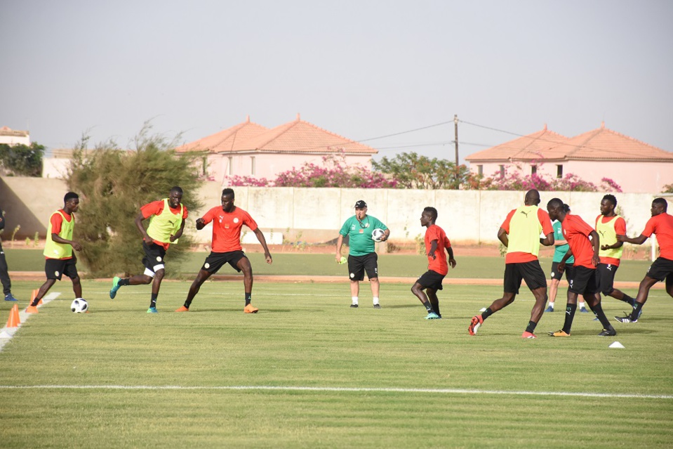 SEANCE D’ENTRAINEMENT: 9 Lions présents, détermination et sérénité au menu SEANCE D’ENTRAINEMENT: 9 Lions présents, détermination et sérénité au menu