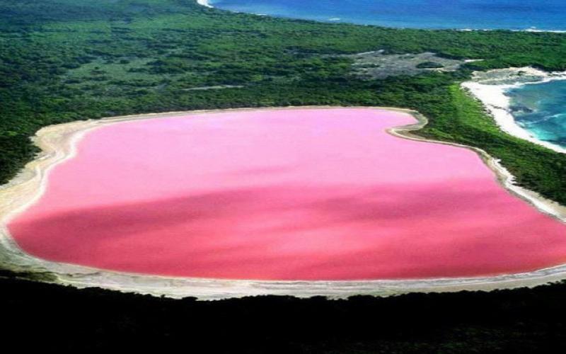 Pôle urbain de Lac rose : Macky Sall se taille 7 000 ha