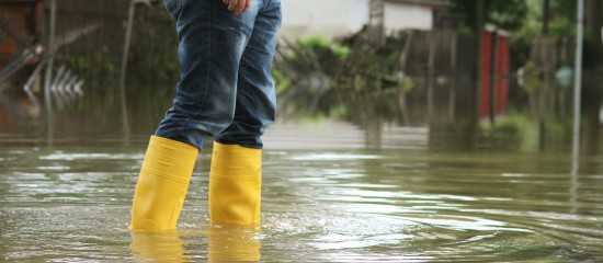 SOUTIEN AUX VICTIMES DES INTEMPERIES: 22.992 têtes de bétail décimées, Macky Sall alloue 1 milliard aux éleveurs