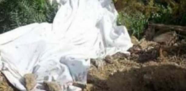 Ziguinchor : Le corps d'un homme criblé de balles découvert