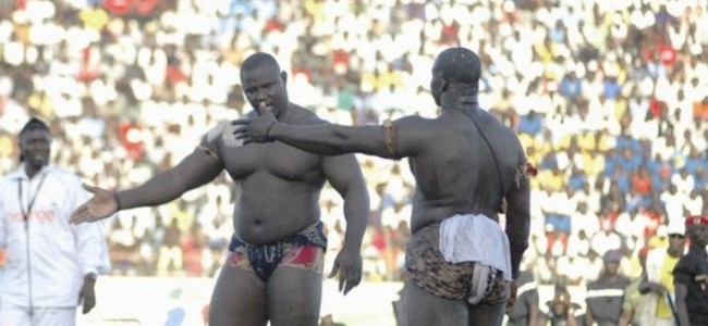 DISCUSSIONS AU POINT MORT POUR LA REVANCHE B52-GRIS : Mbour et Fass attendent toujours un signe du promoteur