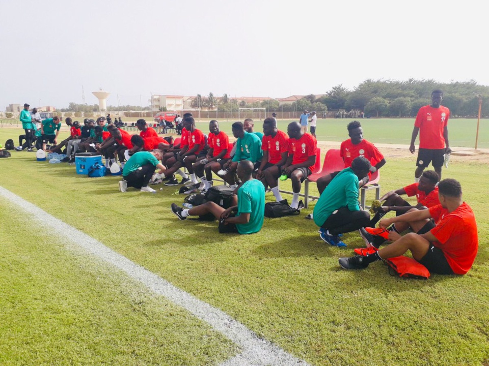 STAGE DE PREPARATION DES LIONS A SALY : La pression monte d’un cran