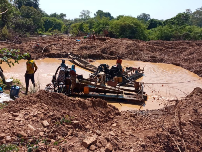 PROTECTION DE L’ECONOMIE NATIONALE ET LUTTE CONTRE LE CRIME ORGANISE : La Douane met fin à une exploitation frauduleuse de ressources minières à Kédougou.