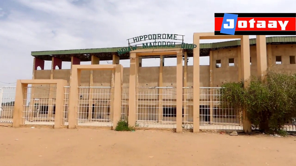 Hippodrome Ndiaw Macodou de Thiès : Un jeune homme d'une vingtaine d'années tué au cours d’une bagarre ! Hippodrome Ndiaw Macodou de Thiès : Un jeune homme d'une vingtaine d'années tué au cours d’une bagarre !
