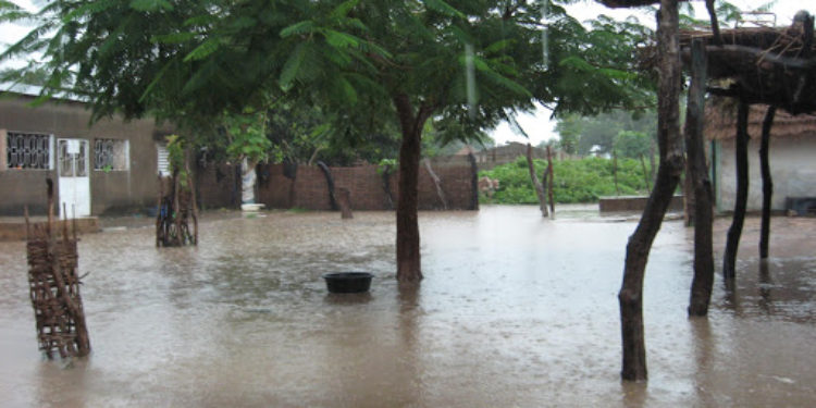 Inondations à Ziguinchor / L’appel de détresse du maire Abdoulaye Baldé.