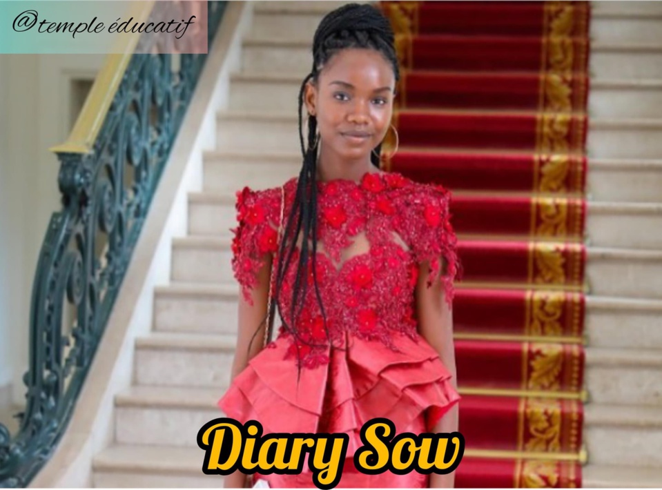 FRANCE: Diary Sow, meilleure élève du Sénégal, introuvable depuis plusieurs jours FRANCE: Diary Sow, meilleure élève du Sénégal, introuvable depuis plusieurs jours