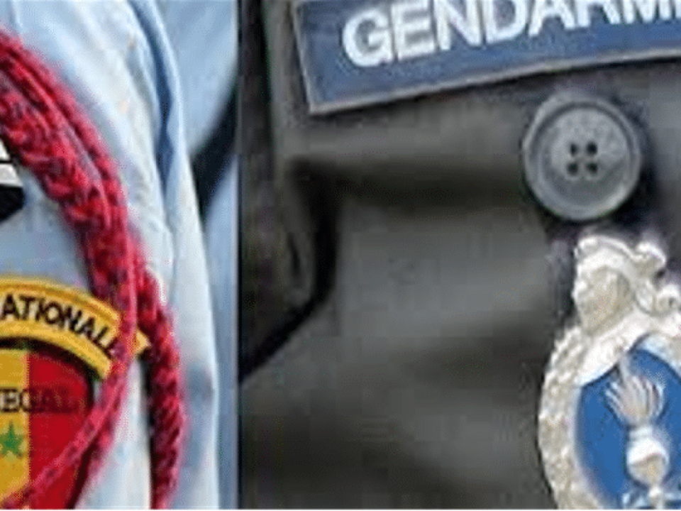 AFFAIRE DES AUDITIONS ANNULEES DES GENDARMES A LA DIC: La police riposte, les policiers invités à ne plus répondre aux convocations des Opj de la gendarmerie AFFAIRE DES AUDITIONS ANNULEES DES GENDARMES A LA DIC: La police riposte, les policiers invités à ne plus répondre aux convocations des Opj de la gendarmerie