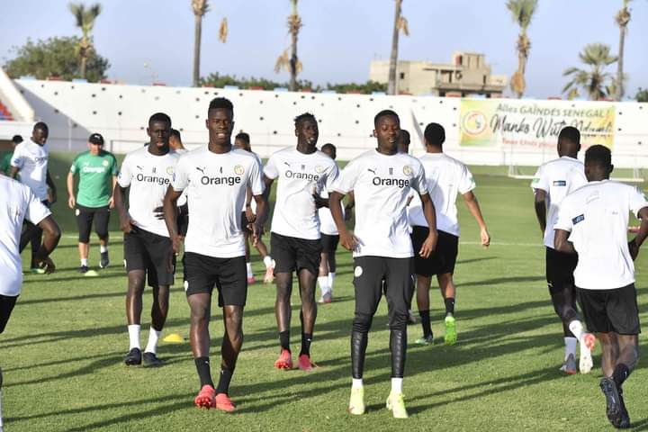 GALOP DES LIONS HIER AU STADE LAT DIOR : 16 Lions et 2 gardiens invités à l’entrainement