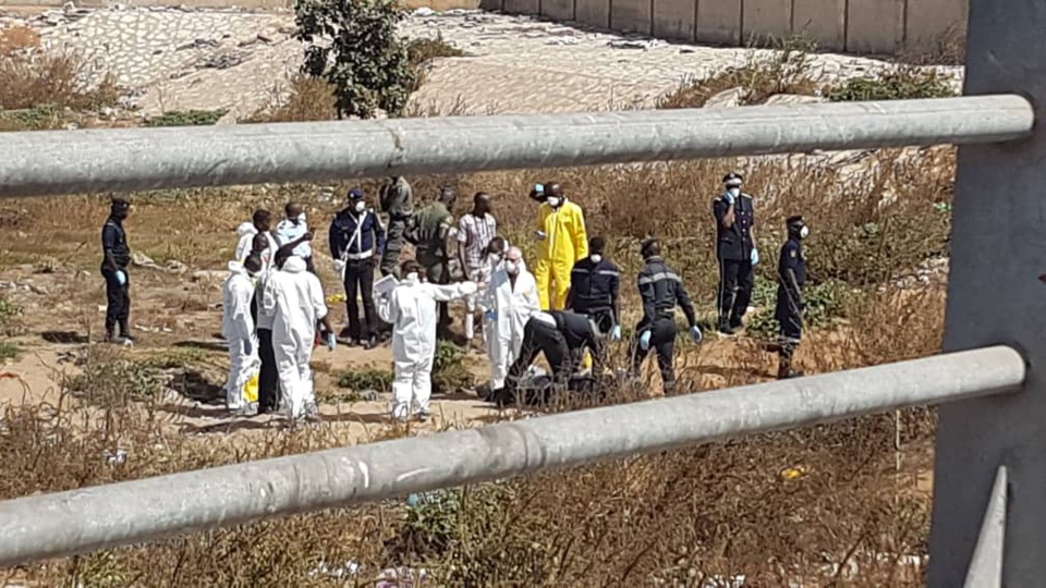 Découverte macabre du côté du Pont de l’émergence Découverte macabre du côté du Pont de l’émergence