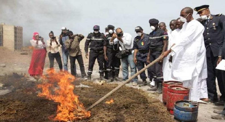 3,9 tonnes de chanvre indien et des cartouches de cigarettes incinérées hier