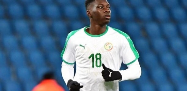 Échos des Lions : Ismaila Sarr blessé et indisponible pour plusieurs semaines