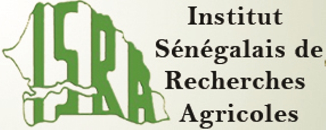 ALERTE DU SYNDICAT AUTONOME POUR LA RECHERCHE AGRICOLE ET AGRO-ALIMENTAIRE (SARAA): «L’Isra est sous le diktat d’une administration sans aucune vision»