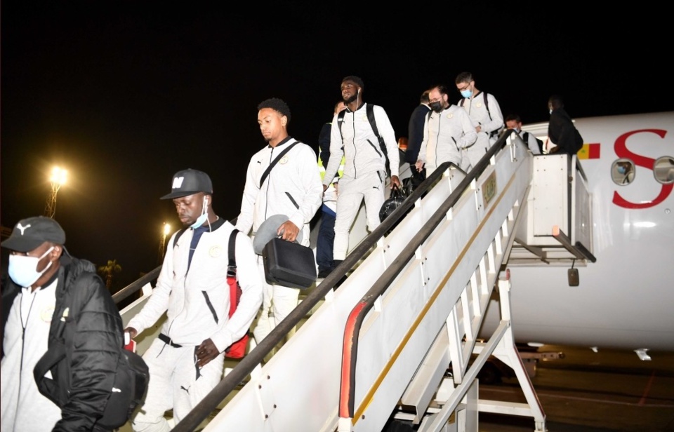 Les Lions sont arrivés au Caire Les Lions sont arrivés au Caire