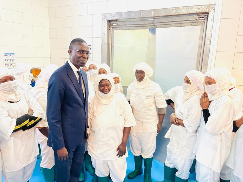 Convention Etat Employeurs : le Ministre Dame Diop signe 33 contrats et crée 1023 nouveaux emplois en CDD. Convention Etat Employeurs : le Ministre Dame Diop signe 33 contrats et crée 1023 nouveaux emplois en CDD.