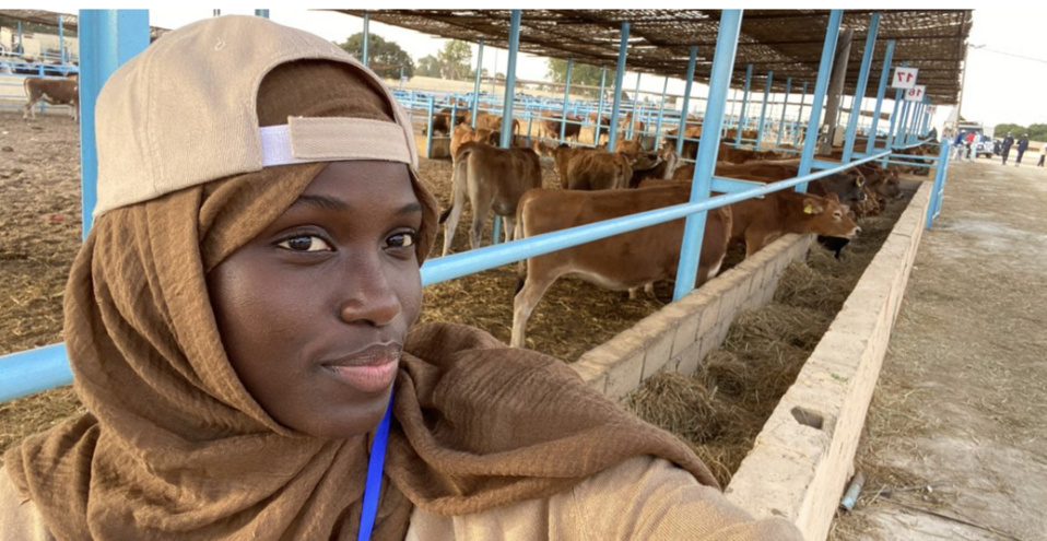 Aïssatou Faye,la fille de Mansour Faye répond à ses détracteurs: sa ferme de 50 vaches « n’est que le début »