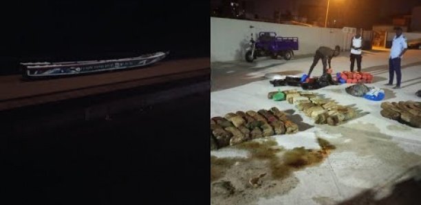 Saisie de 192kg de chanvre indien sur la plage de Malibu