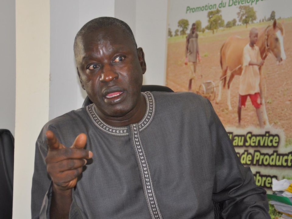 RISQUE D’INVALIDATION DE LA LISTE MAJORITAIRE DE YAW DANS LE DEPARTEMENT DE DAKAR :Saliou Sarr mouille Déthié et parle d’erreur qui leur a échappé RISQUE D’INVALIDATION DE LA LISTE MAJORITAIRE DE YAW DANS LE DEPARTEMENT DE DAKAR :Saliou Sarr mouille Déthié et parle d’erreur qui leur a échappé