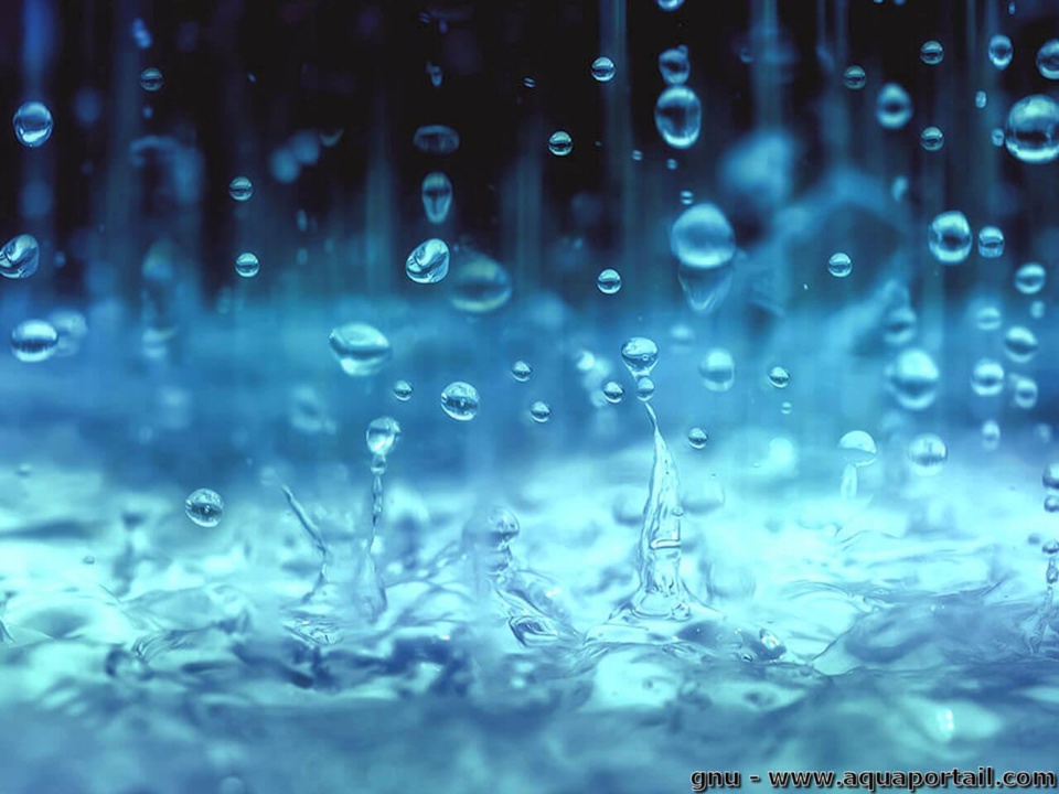 Procès d’Ahmed Aïdara : la pluie n’a pas eu raison de la détermination des militants