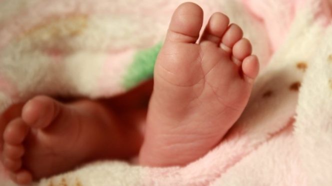 GOLF SUD : Un sachet contenant un cadavre de nouveau-né découvert au centre d’épuration