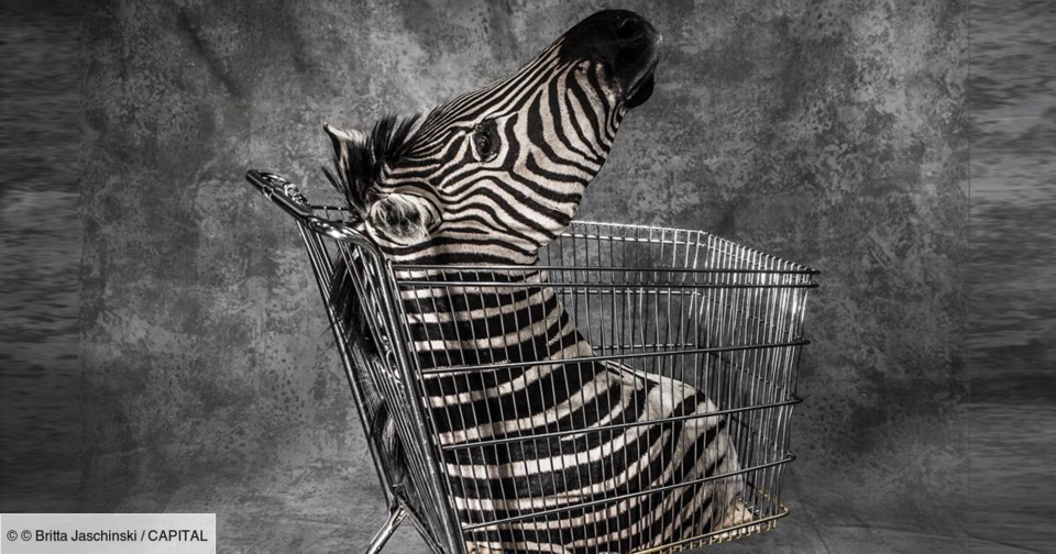 Braconnage Braconnage