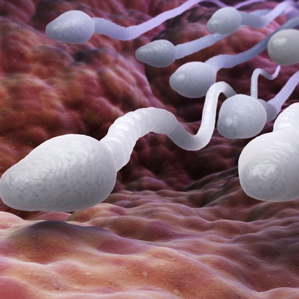 POUR PURIFIER LA COUTURIÈRE ET L'AIDER À FRUCTIFIER SES ACTIVITÉS : Le charlatan couchait avec elle pour récupérer son sperme avec lequel il devait lui faire un gros gris-gris de protection POUR PURIFIER LA COUTURIÈRE ET L'AIDER À FRUCTIFIER SES ACTIVITÉS : Le charlatan couchait avec elle pour récupérer son sperme avec lequel il devait lui faire un gros gris-gris de protection