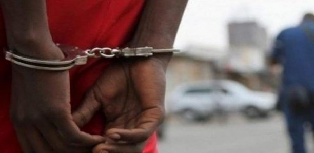 USURPATION DE FONCTION ET ESCROQUERIE A KAOLACK :Le faux Directeur général de Free et ses trois collaborateurs arrêtés