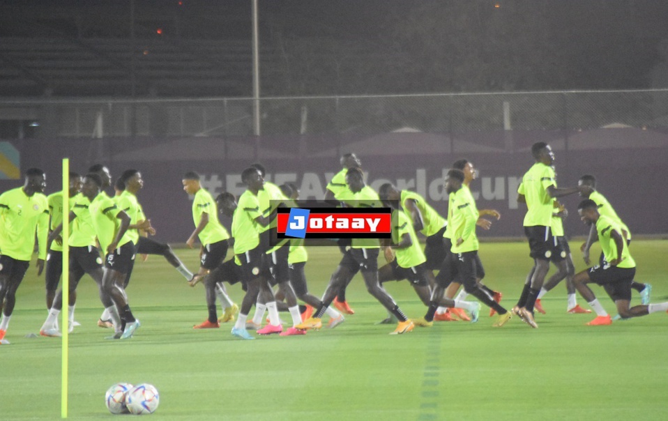 Yankhoba Diatara aux lions : “Nous rugirons pour vous surchauffer et vous pousser à vous surpasser afin de vaincre l'adversaire” Yankhoba Diatara aux lions : “Nous rugirons pour vous surchauffer et vous pousser à vous surpasser afin de vaincre l'adversaire”