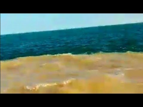 Fleuve Sénégal : environ 21 milliards de m3 d'eau douce perdus chaque année