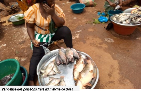 VOULANT UN TOIT POUR SES 6 ENFANTS, ELLE SE RETROUVE EN PRISON:   L’histoire pathétique de Fatimata Ndiaye, vendeuse de poissons, mère de 6 enfants, qui a ému le juge, le procureur et toute l’assistance