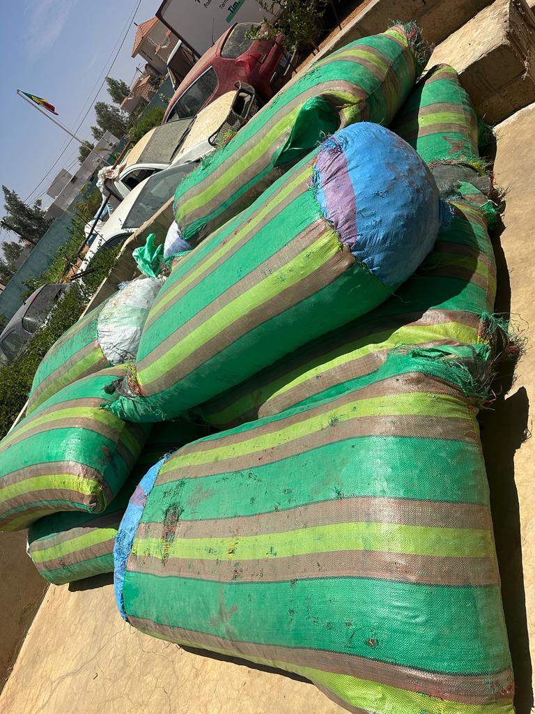 Marchandises prohibées et 1600 kg d'ailerons de requin saisis à Kébémer