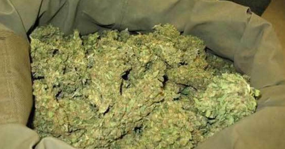 Du chanvre indien intercepté à Sandiara et à Rufisque Du chanvre indien intercepté à Sandiara et à Rufisque