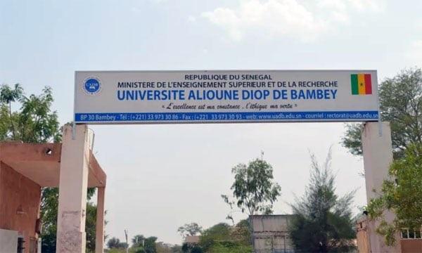 Université Alioune Diop de Bambey : elle s’inscrit avec un certificat d’inscription…