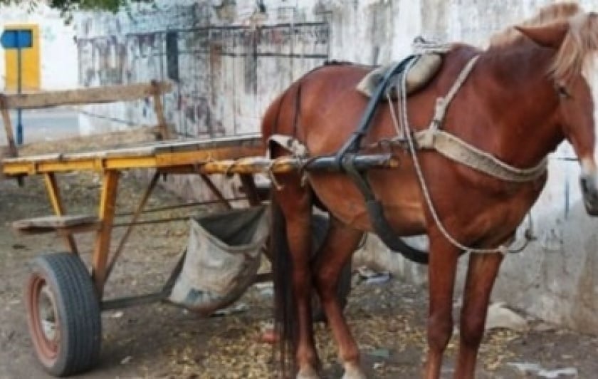 MORTELLE RIXE AU COUTEAU À GUINAW-RAILS NORD : Un soudeur poignardé à mort dans le cœur par un charretier