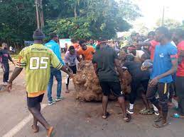 Ziguinchor : la nationale barrée par les jeunes