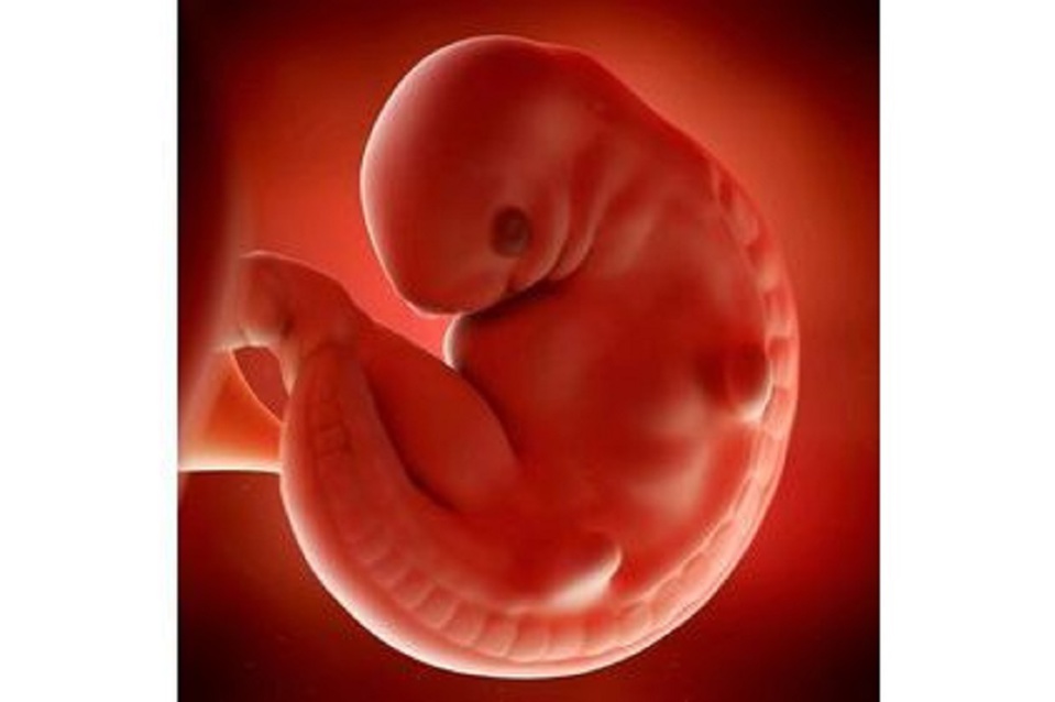 POUR L’AVORTEMENT D'UNE GROSSESSE DE 7 SEMAINES : Un restaurateur marié et sa copine se retrouvent à la barre et écopent chacun de 6 mois de prison assortis du sursis