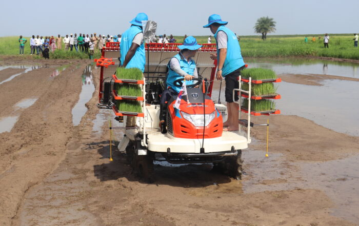 NÉGLIGENCE CARACTÉRISÉE ET SAIGNÉE SANS PRÉCÉDENT : Institut sénégalais de recherches agricoles (Isra) se meurt