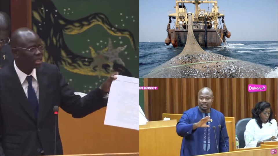 EXAMEN DU BUDGET DU MINISTERE DE LA PECHE : Pape Sagna Mbaye conspué dans ses répliques contre Guy Marius Sagna