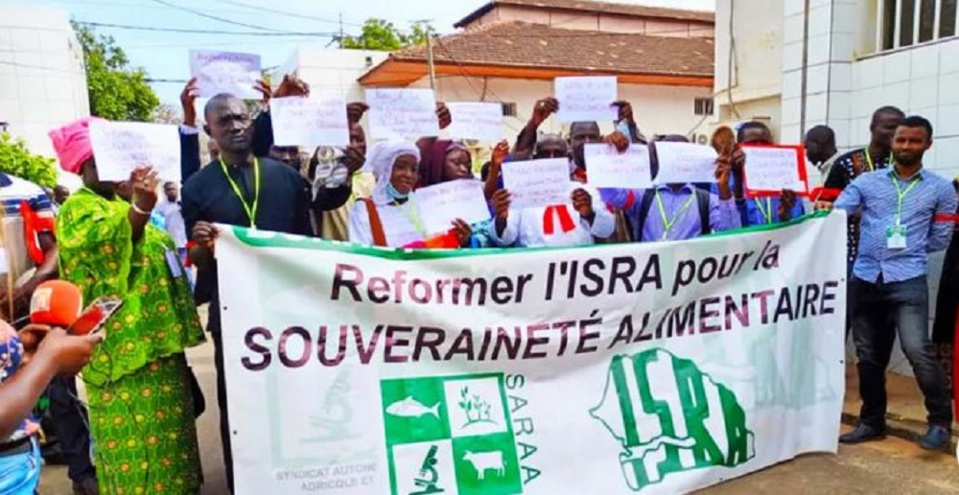 MINISTERE DE L’AGRICULTURE DE L'EQUIPEMENT RURAL ET DE LA SOUVERAINETE ALIMENTAIRE : Les doléances des agents de l'Isra portées par les députés MINISTERE DE L’AGRICULTURE DE L'EQUIPEMENT RURAL ET DE LA SOUVERAINETE ALIMENTAIRE : Les doléances des agents de l'Isra portées par les députés