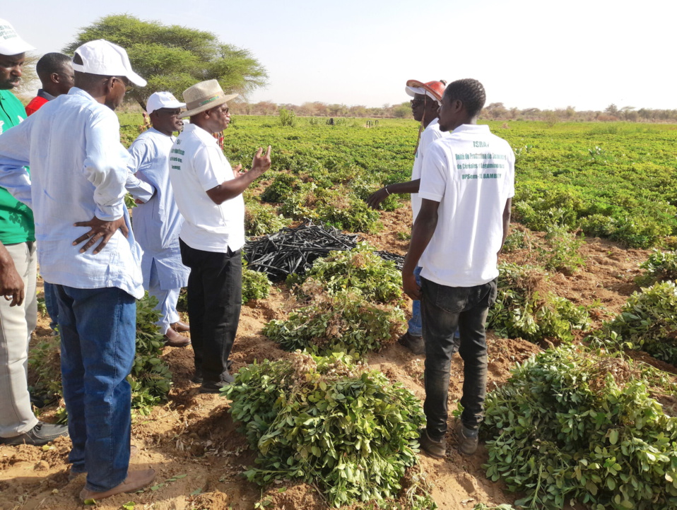 Les travailleurs de l’Isra bientôt satisfaits Les travailleurs de l’Isra bientôt satisfaits