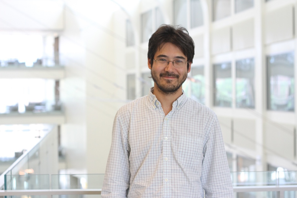 Voici les 10 personnes avec le plus grand QI au monde