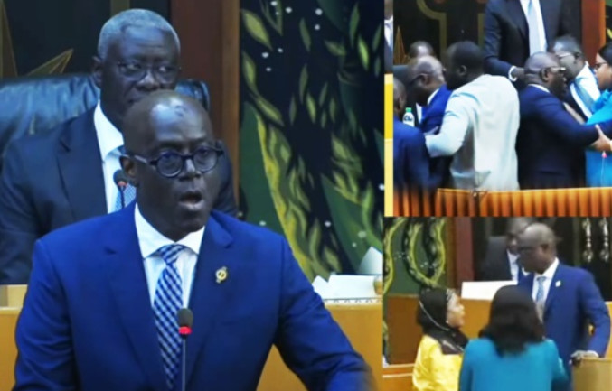 BAGARRE A L’ASSEMBLEE NATIONALE : Des députés du Pds s’en prennent à Thierno Alassane Sall qui annonce une plainte