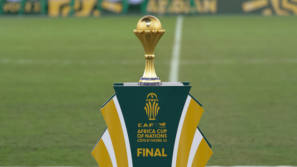 Can : le palmarès complet