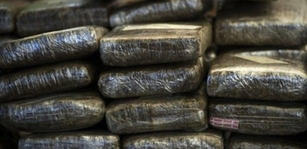 OPÉRATION COUP DE POING A KEUR MBAYE FALL : Onze blocs de yamba saisis dans un véhicule abandonné par des dealers