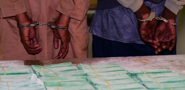 Des billets noirs d’une contrevaleur de près de 315 millions de francs Cfa saisis par la Douane