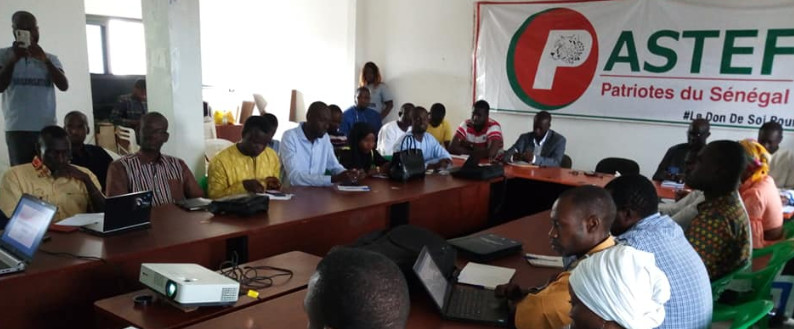 Suspension de l’installation de ses coordinations : Jeunesse Pastef arrête tout