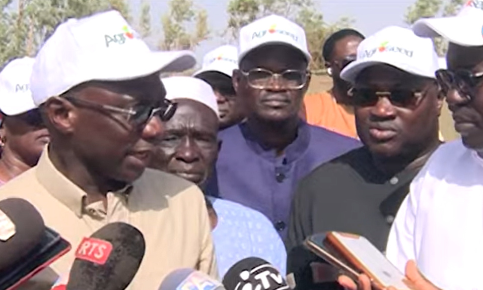 Visite du Ministre de l'agriculture Dr Mabouba DIAGNE au Champs Agroseed et invite le secteur privé a bloqué 66 milliards d'exportation de fruits et légumes et des milliers d'emplois Visite du Ministre de l'agriculture Dr Mabouba DIAGNE au Champs Agroseed et invite le secteur privé a bloqué 66 milliards d'exportation de fruits et légumes et des milliers d'emplois