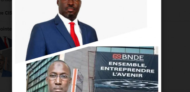 BNDE : Le Dr Abdoulaye Niane remplacé par le Dga de la BIS, Mamadou Faye